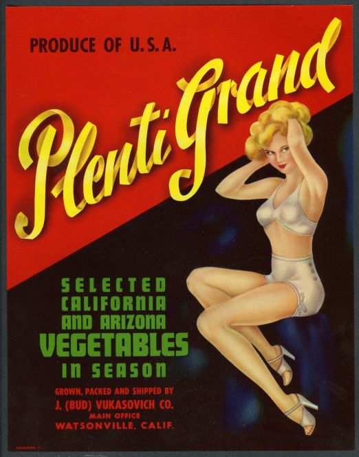 PLENTI-GRAND-SEXY-PIN-UP-GIRL-in-BRA-PANTIES-VINTAGE1940s-VEGETABLE-CRATE (2)
