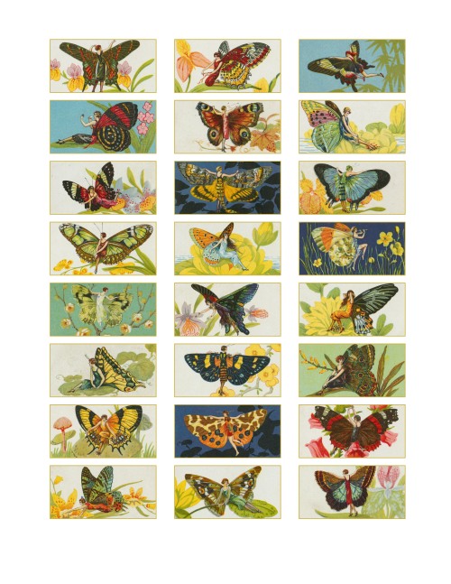 Butterfly women (2)
